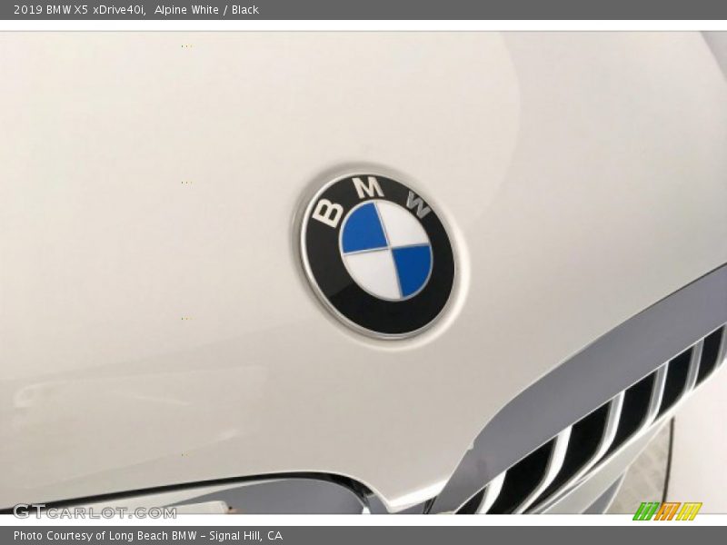 Alpine White / Black 2019 BMW X5 xDrive40i