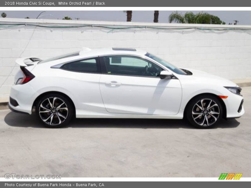 White Orchid Pearl / Black 2018 Honda Civic Si Coupe