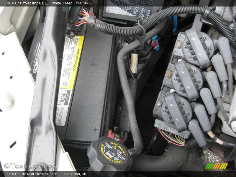 White / Medium Gray 2004 Chevrolet Impala LS