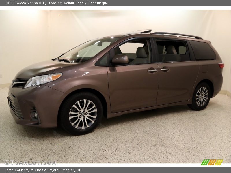  2019 Sienna XLE Toasted Walnut Pearl