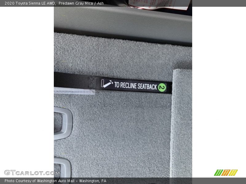 Predawn Gray Mica / Ash 2020 Toyota Sienna LE AWD