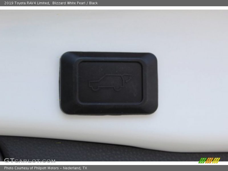Blizzard White Pearl / Black 2019 Toyota RAV4 Limited