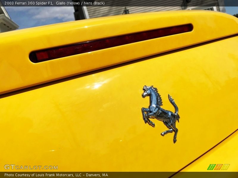 Giallo (Yellow) / Nero (Black) 2003 Ferrari 360 Spider F1