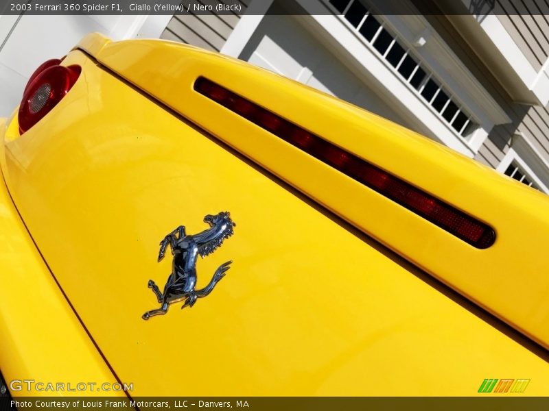 Giallo (Yellow) / Nero (Black) 2003 Ferrari 360 Spider F1