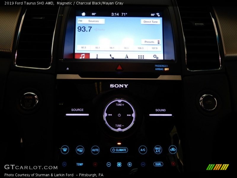 Magnetic / Charcoal Black/Mayan Gray 2019 Ford Taurus SHO AWD