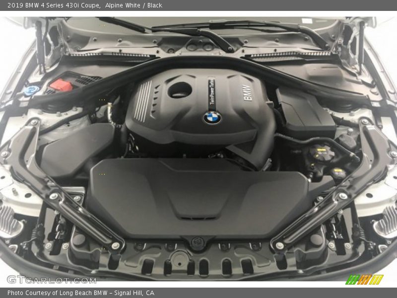 Alpine White / Black 2019 BMW 4 Series 430i Coupe
