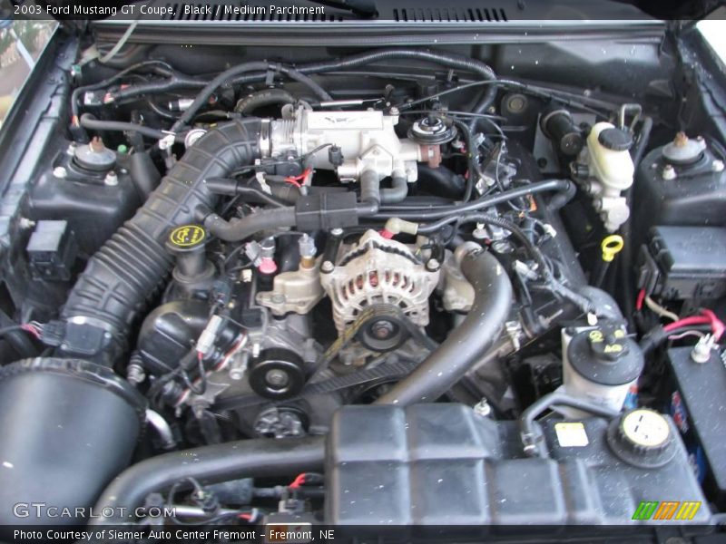 Black / Medium Parchment 2003 Ford Mustang GT Coupe