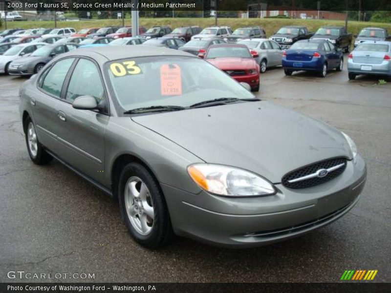 Spruce Green Metallic / Medium Parchment 2003 Ford Taurus SE