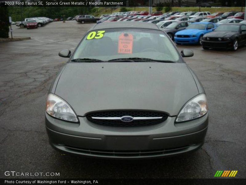 Spruce Green Metallic / Medium Parchment 2003 Ford Taurus SE