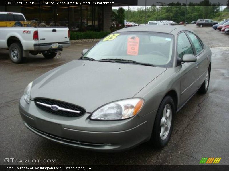 Spruce Green Metallic / Medium Parchment 2003 Ford Taurus SE