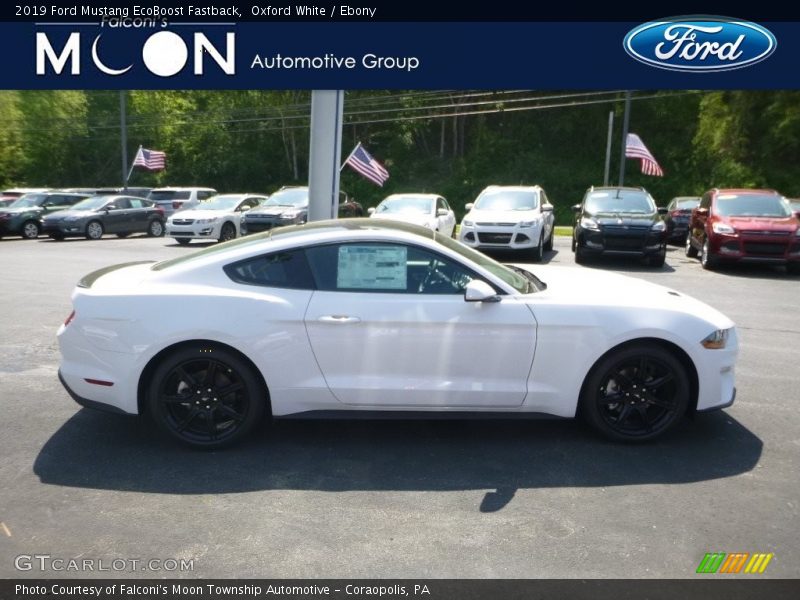 Oxford White / Ebony 2019 Ford Mustang EcoBoost Fastback