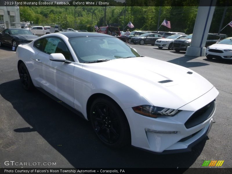 Oxford White / Ebony 2019 Ford Mustang EcoBoost Fastback