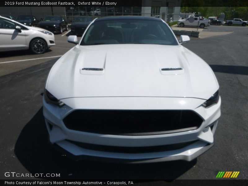 Oxford White / Ebony 2019 Ford Mustang EcoBoost Fastback