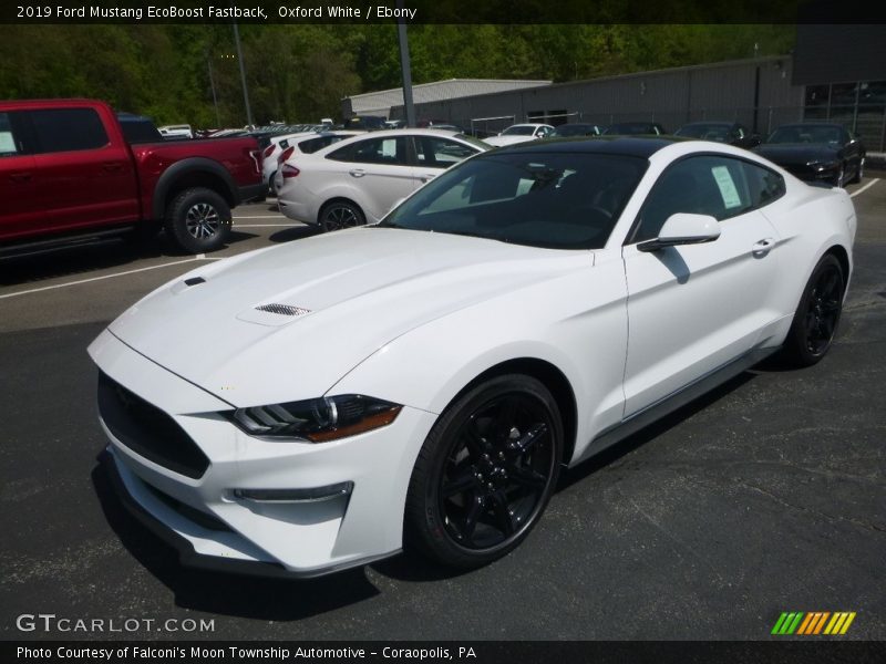 Oxford White / Ebony 2019 Ford Mustang EcoBoost Fastback