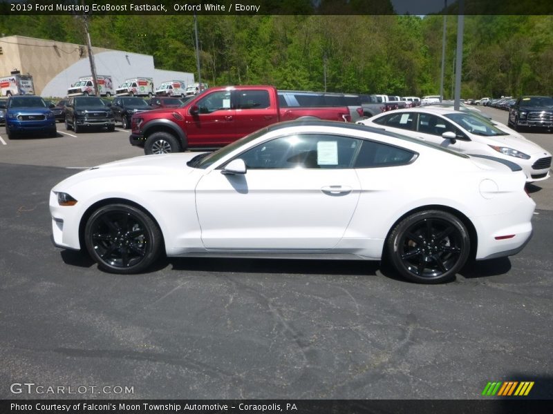 Oxford White / Ebony 2019 Ford Mustang EcoBoost Fastback