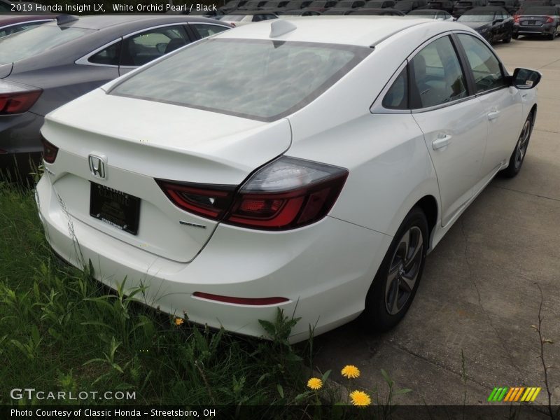 White Orchid Pearl / Black 2019 Honda Insight LX
