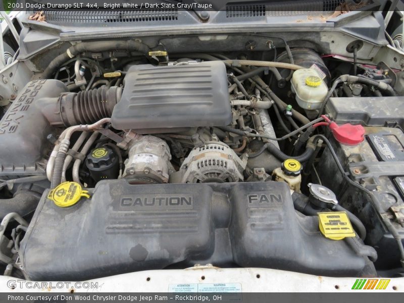 Bright White / Dark Slate Gray/Taupe 2001 Dodge Durango SLT 4x4