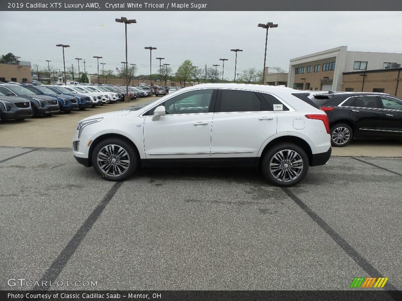 Crystal White Tricoat / Maple Sugar 2019 Cadillac XT5 Luxury AWD