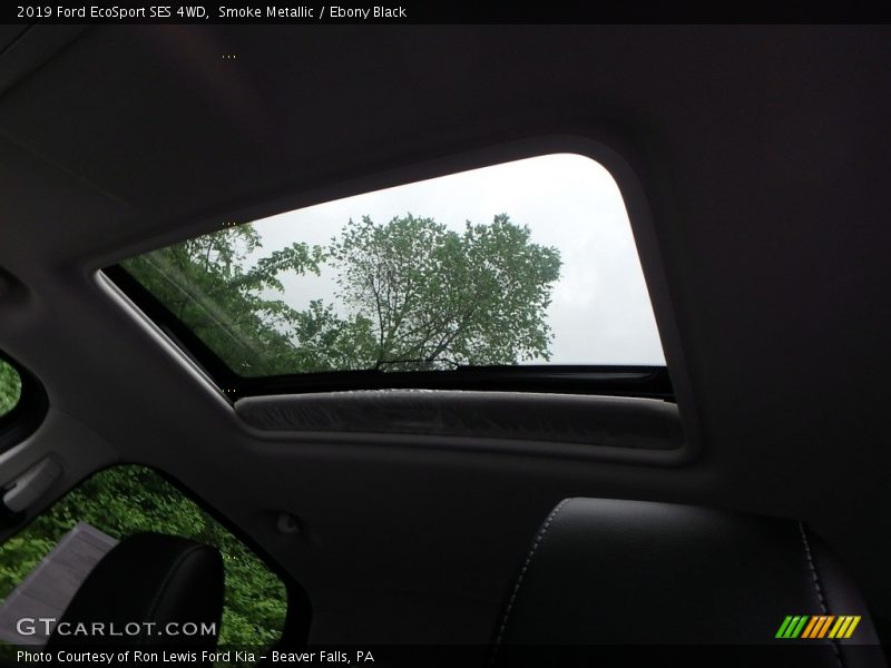 Smoke Metallic / Ebony Black 2019 Ford EcoSport SES 4WD