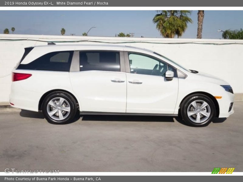 White Diamond Pearl / Mocha 2019 Honda Odyssey EX-L