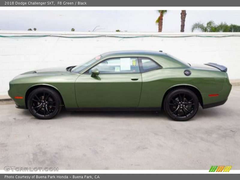 F8 Green / Black 2018 Dodge Challenger SXT
