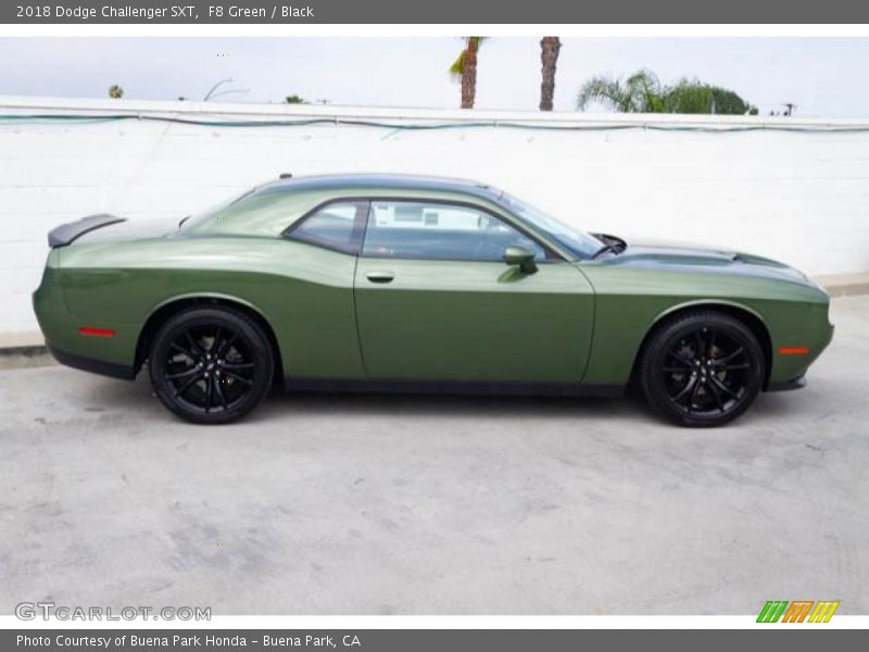 F8 Green / Black 2018 Dodge Challenger SXT
