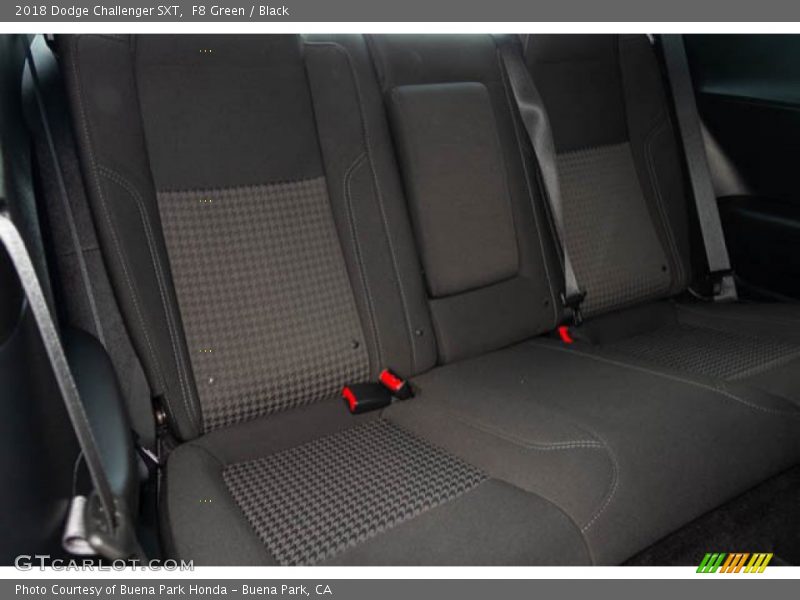 F8 Green / Black 2018 Dodge Challenger SXT