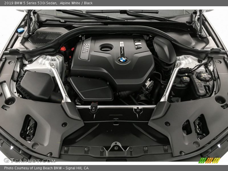 Alpine White / Black 2019 BMW 5 Series 530i Sedan