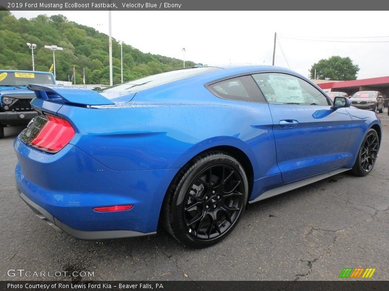 Velocity Blue / Ebony 2019 Ford Mustang EcoBoost Fastback