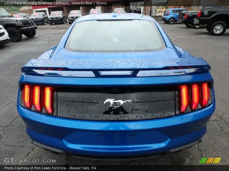 Velocity Blue / Ebony 2019 Ford Mustang EcoBoost Fastback