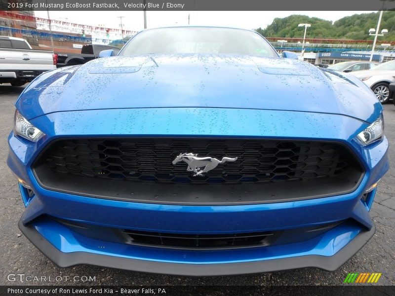 Velocity Blue / Ebony 2019 Ford Mustang EcoBoost Fastback