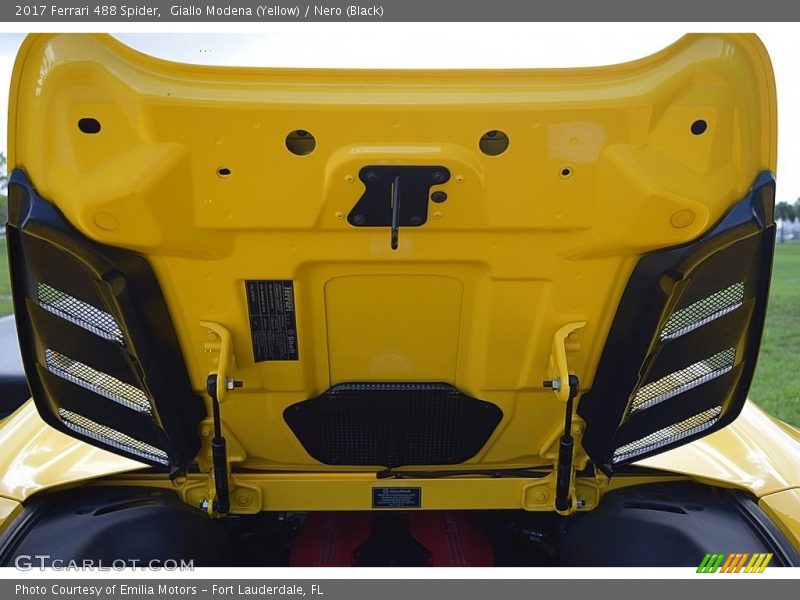 Engine Cover - 2017 Ferrari 488 Spider 