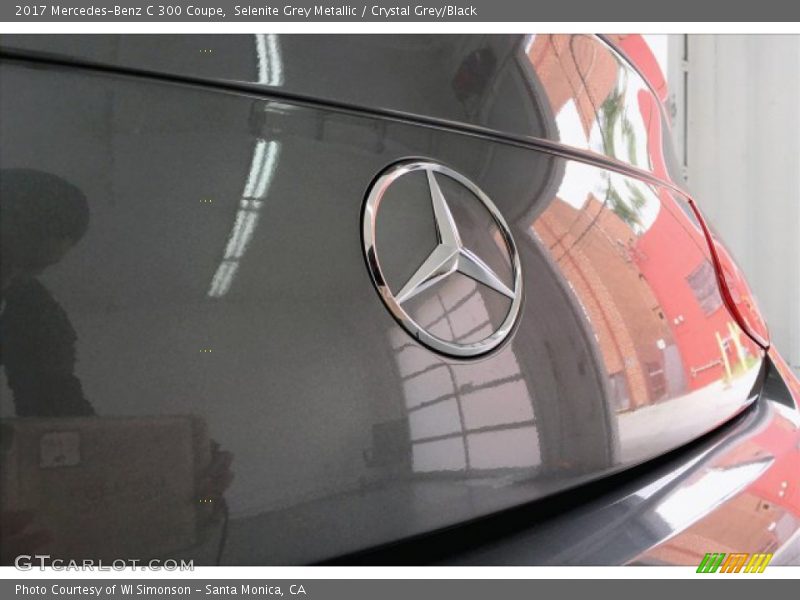 Selenite Grey Metallic / Crystal Grey/Black 2017 Mercedes-Benz C 300 Coupe