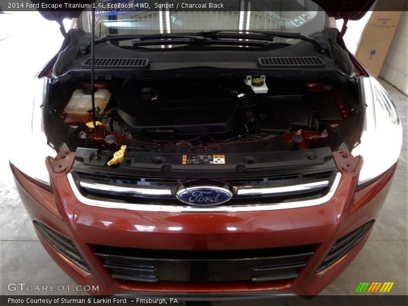 Sunset / Charcoal Black 2014 Ford Escape Titanium 1.6L EcoBoost 4WD