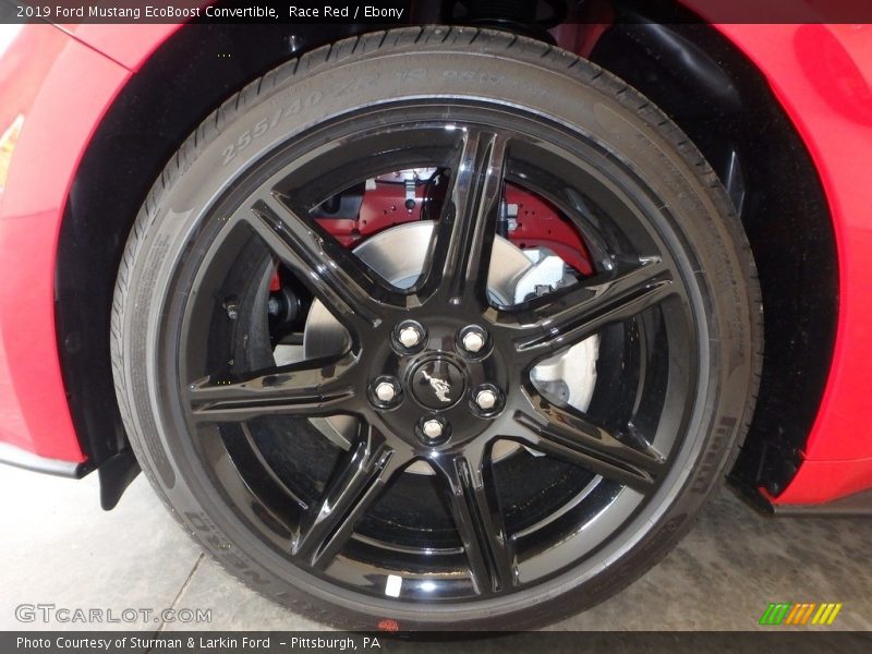 Race Red / Ebony 2019 Ford Mustang EcoBoost Convertible