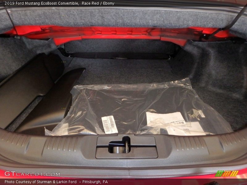 Race Red / Ebony 2019 Ford Mustang EcoBoost Convertible