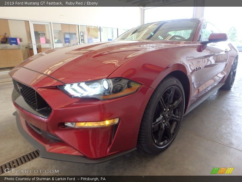 Ruby Red / Ebony 2019 Ford Mustang GT Fastback