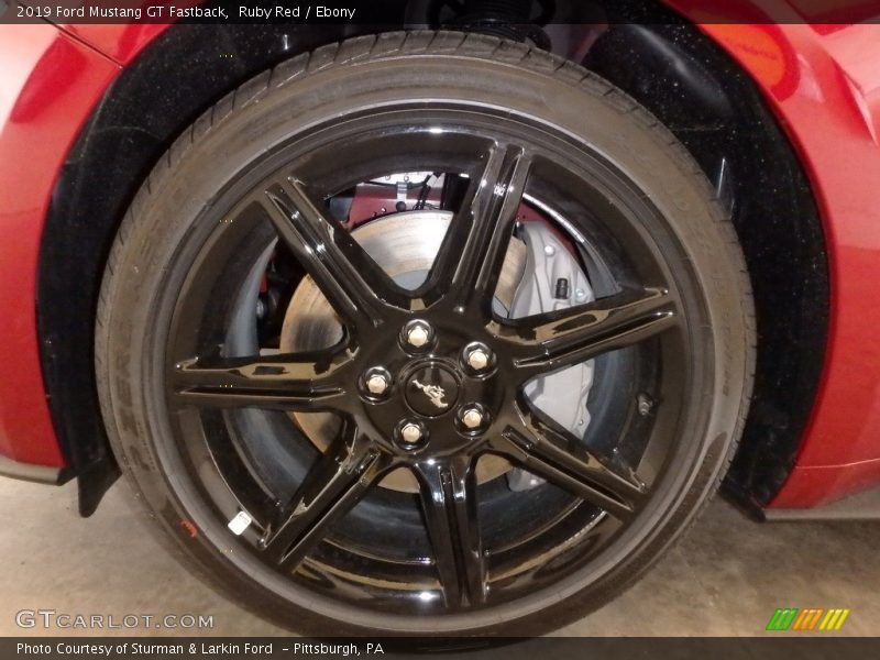 Ruby Red / Ebony 2019 Ford Mustang GT Fastback