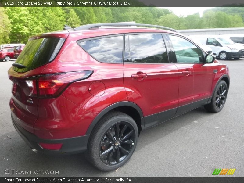 Ruby Red / Chromite Gray/Charcoal Black 2019 Ford Escape SE 4WD