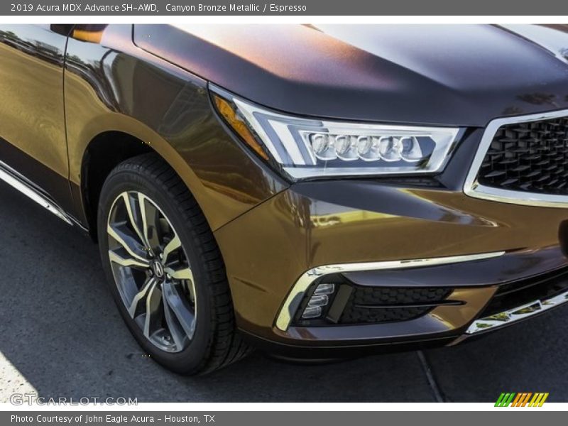 Canyon Bronze Metallic / Espresso 2019 Acura MDX Advance SH-AWD