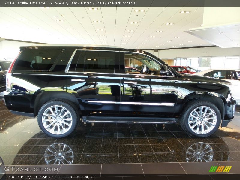 Black Raven / Shale/Jet Black Accents 2019 Cadillac Escalade Luxury 4WD