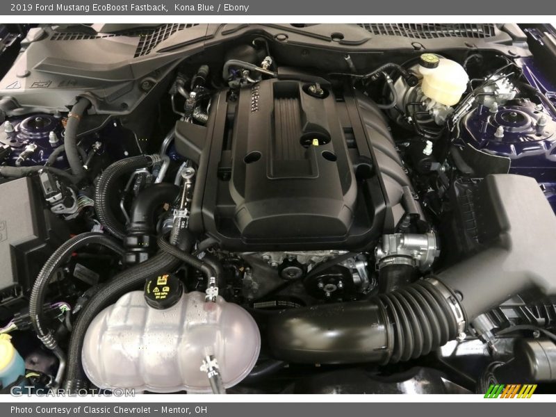  2019 Mustang EcoBoost Fastback Engine - 2.3 Liter Turbocharged DOHC 16-Valve EcoBoost 4 Cylinder