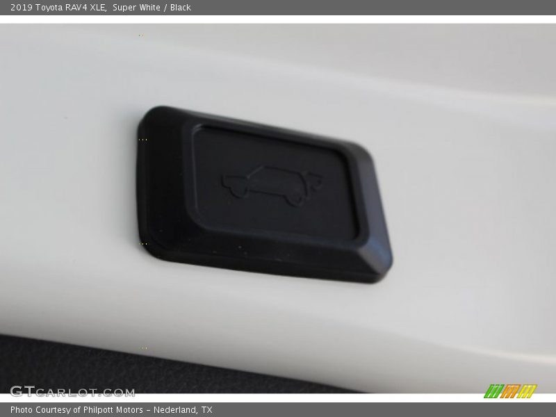 Super White / Black 2019 Toyota RAV4 XLE
