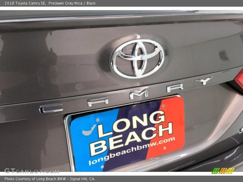 Predawn Gray Mica / Black 2018 Toyota Camry SE