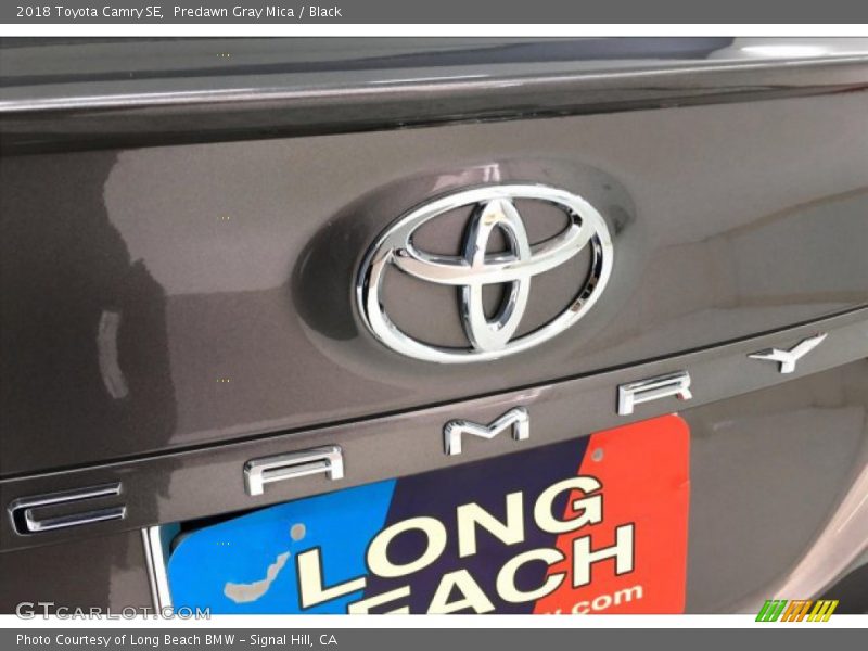 Predawn Gray Mica / Black 2018 Toyota Camry SE