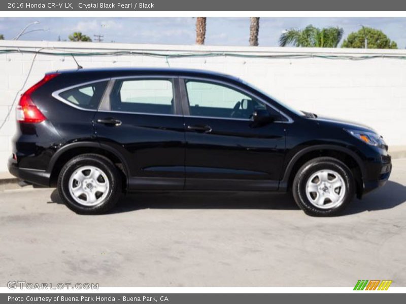 Crystal Black Pearl / Black 2016 Honda CR-V LX