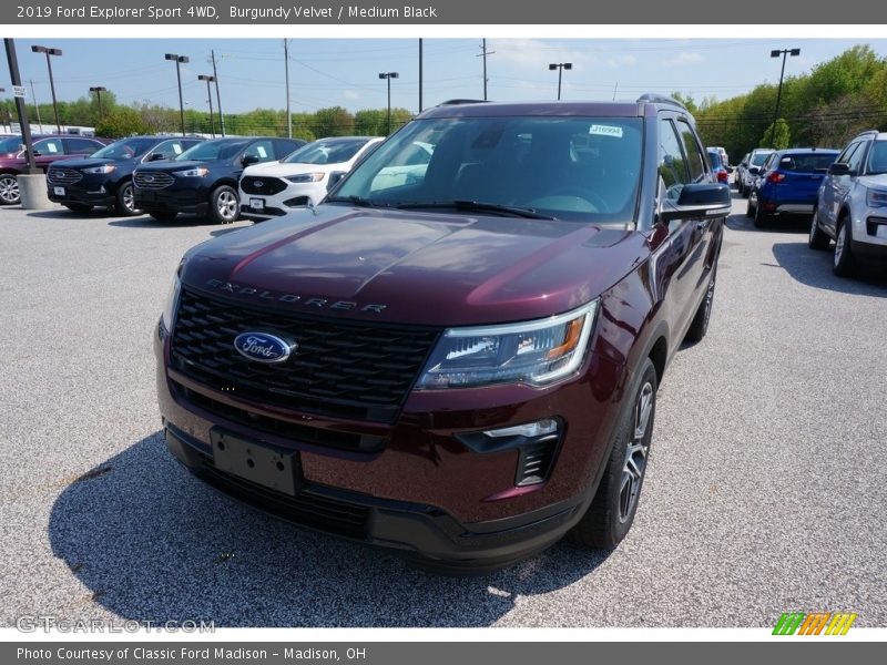Burgundy Velvet / Medium Black 2019 Ford Explorer Sport 4WD