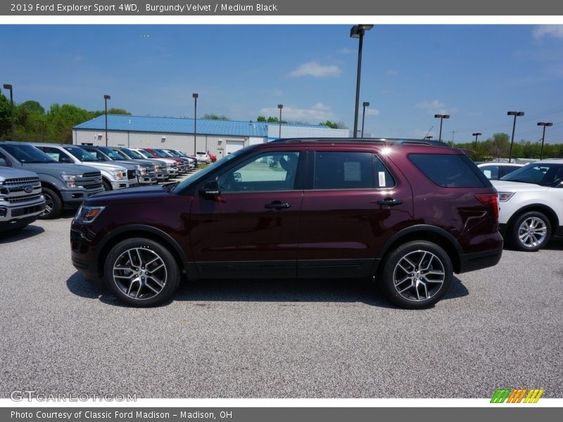 Burgundy Velvet / Medium Black 2019 Ford Explorer Sport 4WD