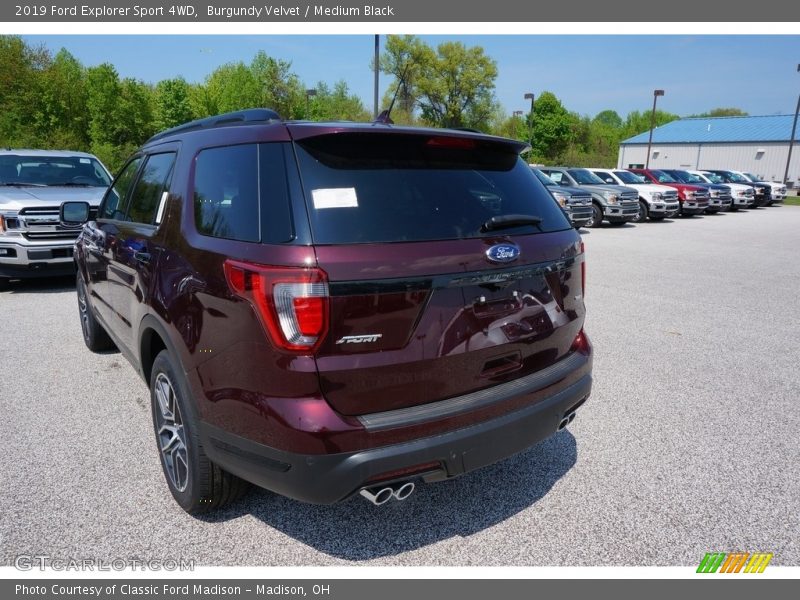 Burgundy Velvet / Medium Black 2019 Ford Explorer Sport 4WD