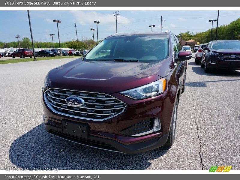 Burgundy Velvet / Ebony 2019 Ford Edge SEL AWD